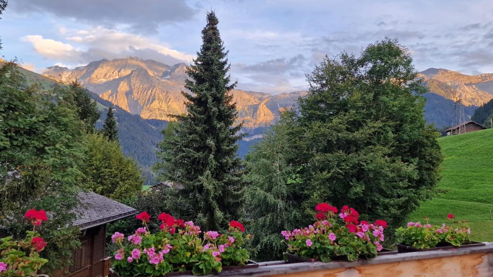 Large Deluxe Studio For 2 - Chalet Lovo Lenk Zewnętrze zdjęcie