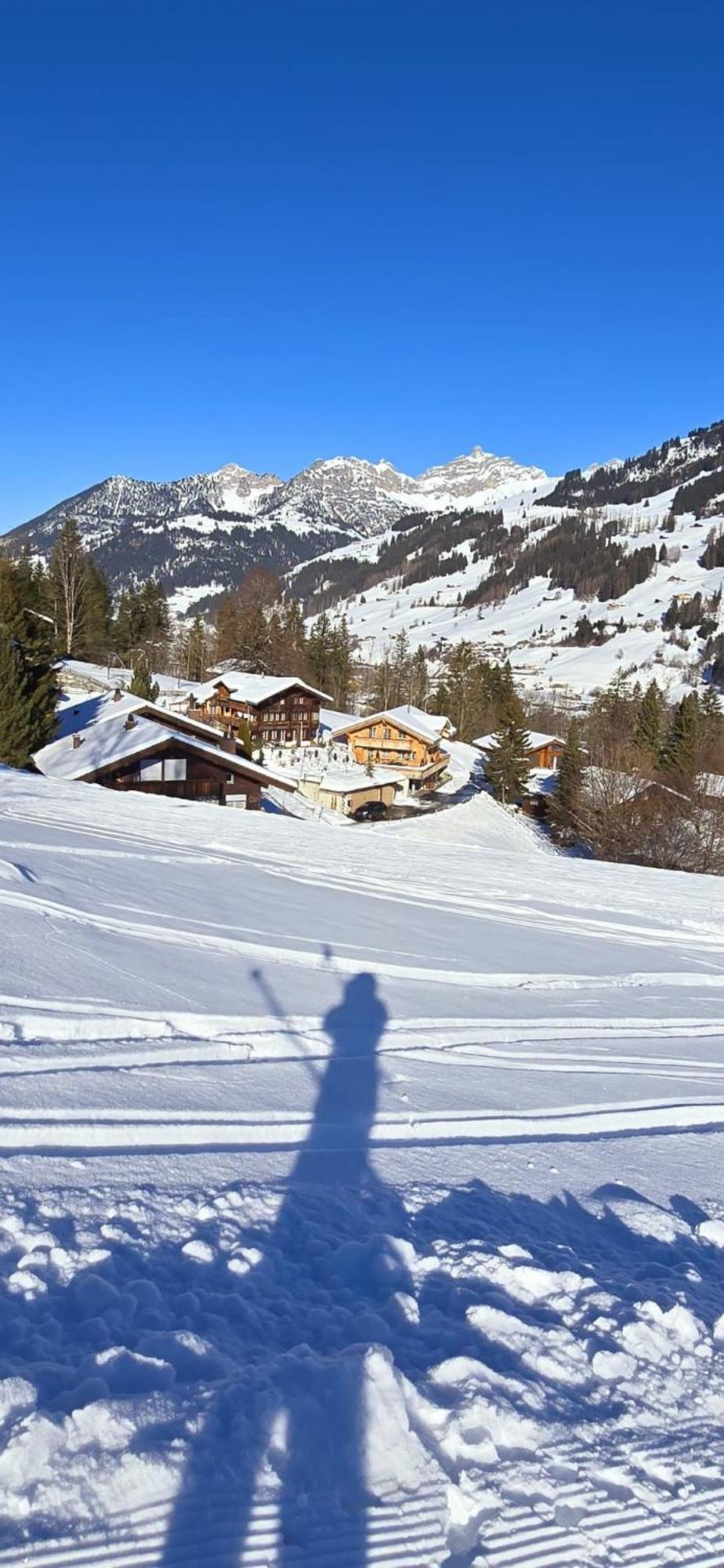 Large Deluxe Studio For 2 - Chalet Lovo Lenk Zewnętrze zdjęcie
