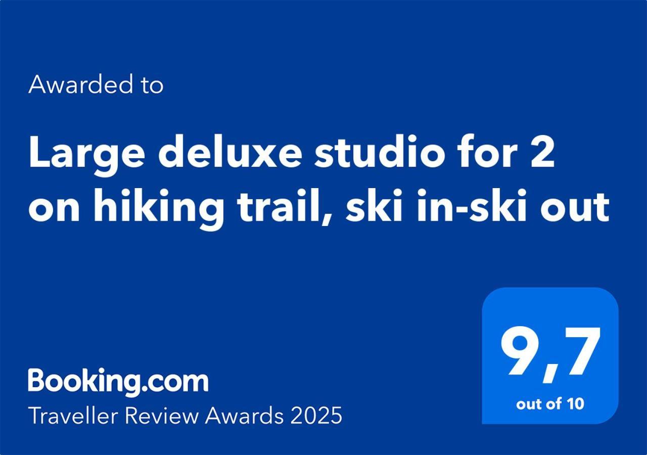 Large Deluxe Studio For 2 - Chalet Lovo Lenk Zewnętrze zdjęcie